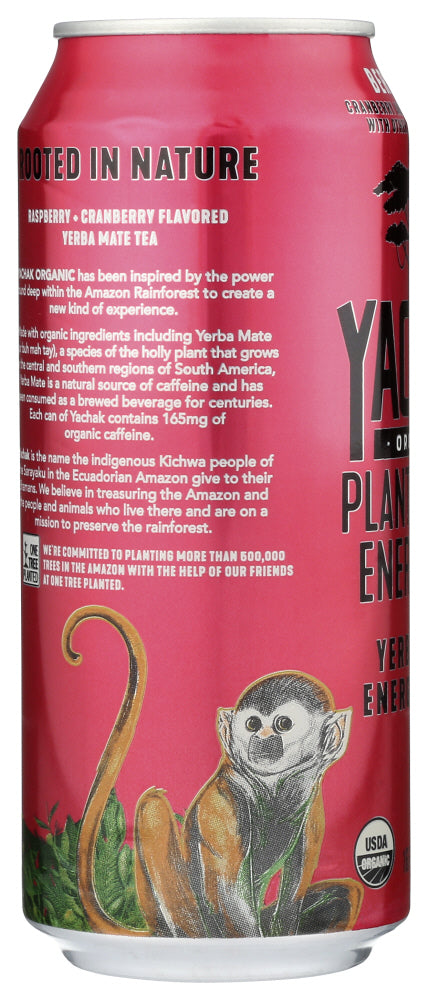 Yachak Organic: Tea Berry Red Org, 16 Fo