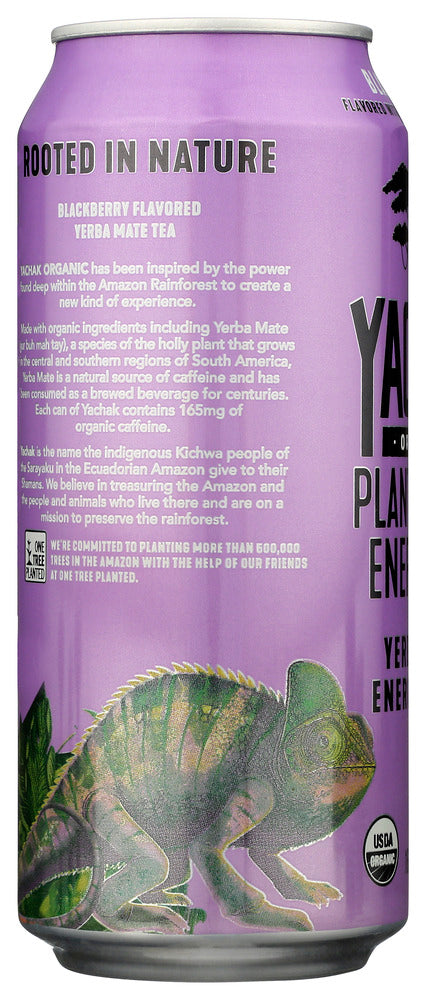 Yachak Organic: Organic Blackberry Tea, 16 Fo