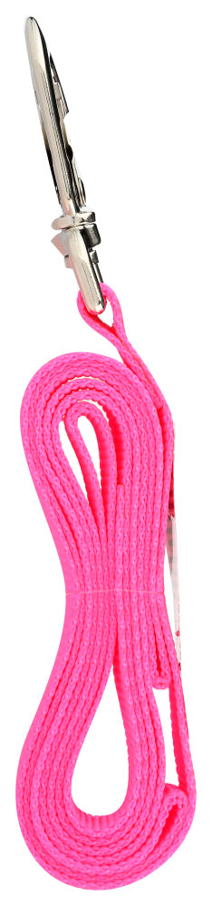 Scott Pet: Lead Hot Pink 1In X 6Ft, 1 Ea