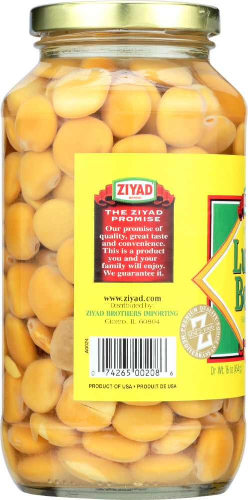 Ziyad: Bean Lupini, 16 Oz