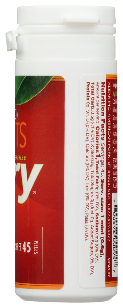 Spry: Mints Cinnamon, 45 Pc