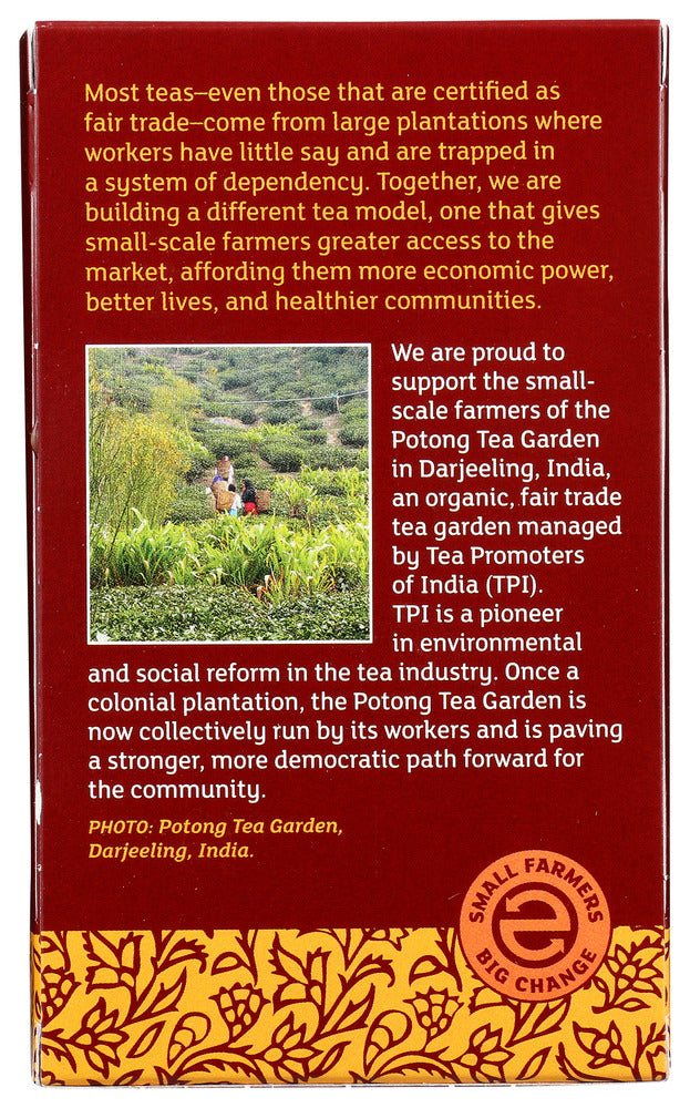 Equal Exchange: Tea Black Ginger, 20 Bg