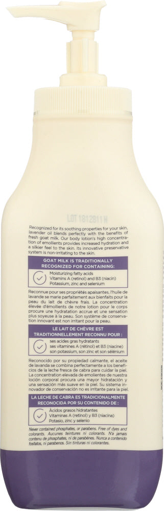 Canus: Creamy Body Lotion With Lavender Oil, 11.8 Oz