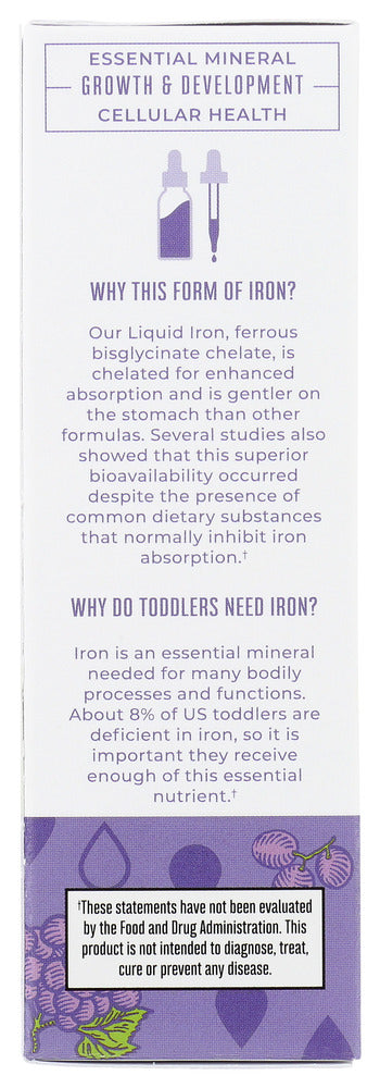 Maryruths: Organic Toddler Iron Liquid Drops Grape, 2 Fo