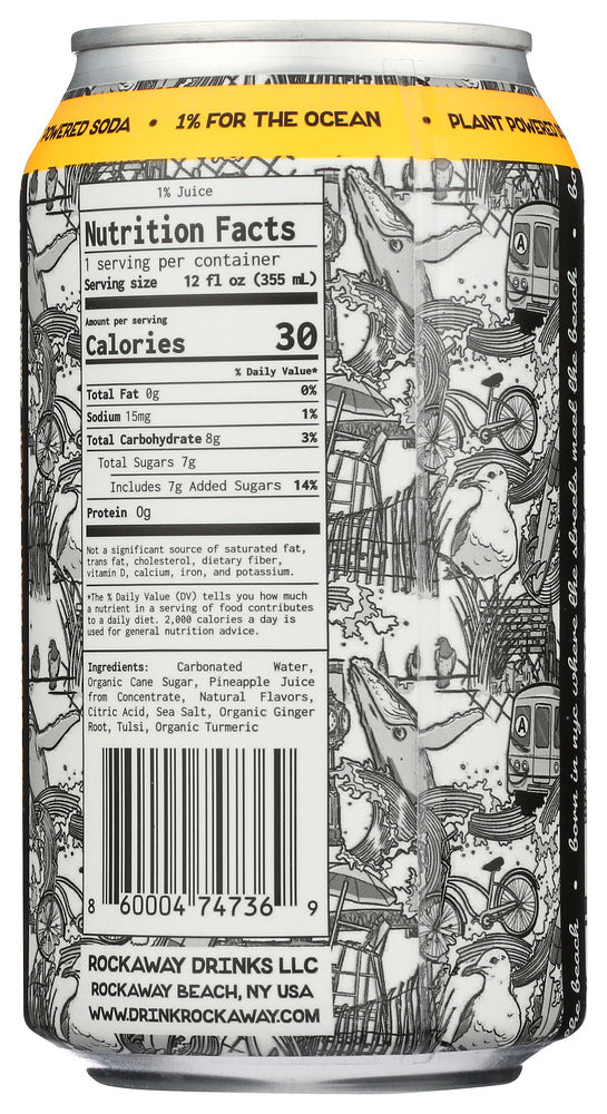 Rockaway: Coastal Immunity Soda, 12 Fo