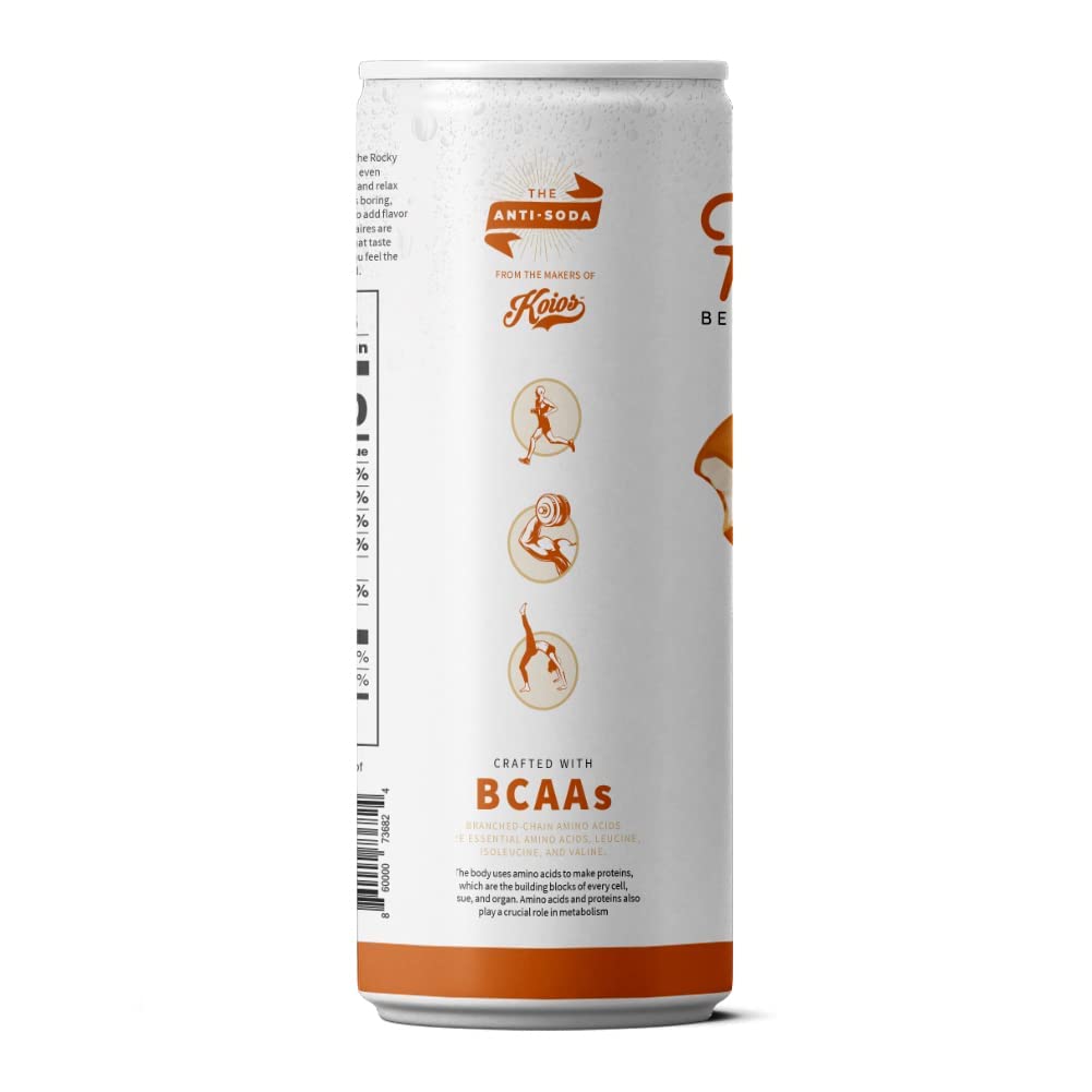 Fit Soda: Orange Cream Soda, 12 Fo