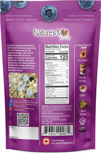 Natures Mix: Granola Superfood With Quinoa And Blueberries, 11 Oz