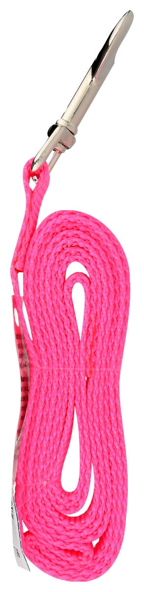 Scott Pet: Lead Hot Pink 5/8In X 6Ft, 1 Ea